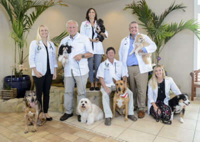 Palm City Animal Medical Center Staff